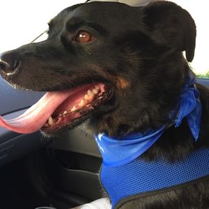 Meet your Posher, Doris